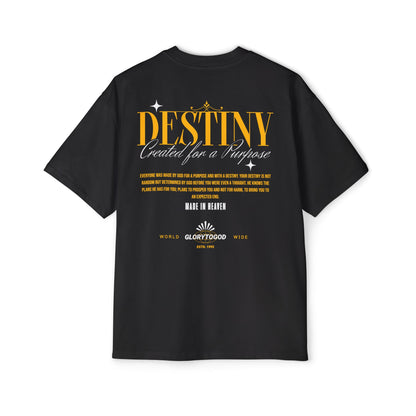 DESTINY GLORY Heavy Oversized Tee *LIMITED EDITION*