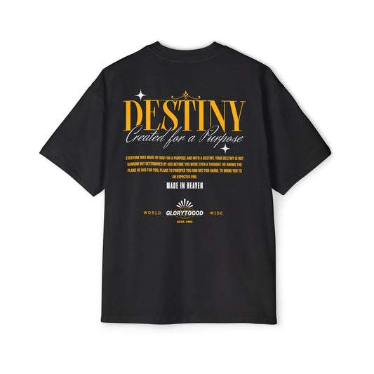 DESTINY GLORY Heavy Oversized Tee *LIMITED EDITION*